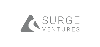 Surge Ventures